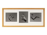 Bruce Weber (born 1946) Ric, Point Conception, California, 1989