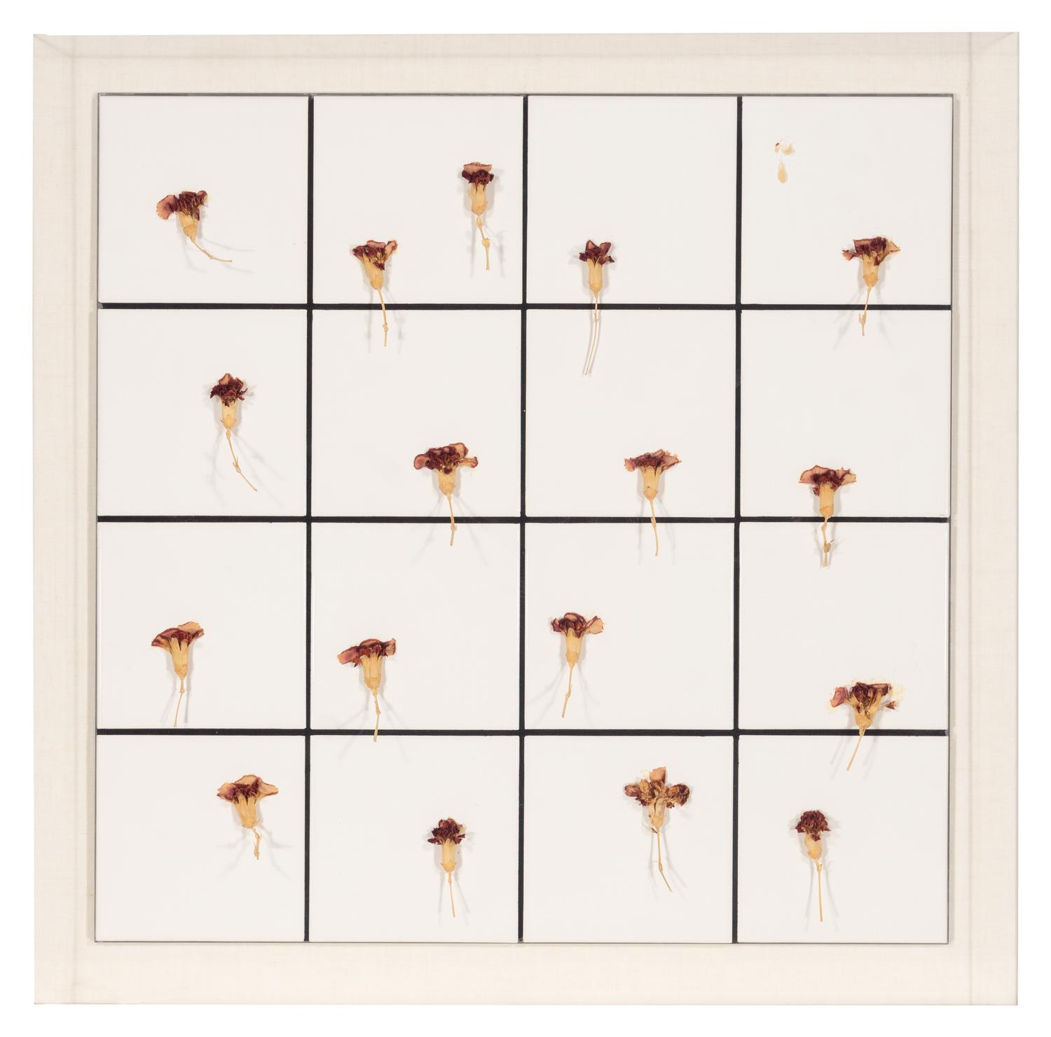 Tiles + Dried Flowers , 1996