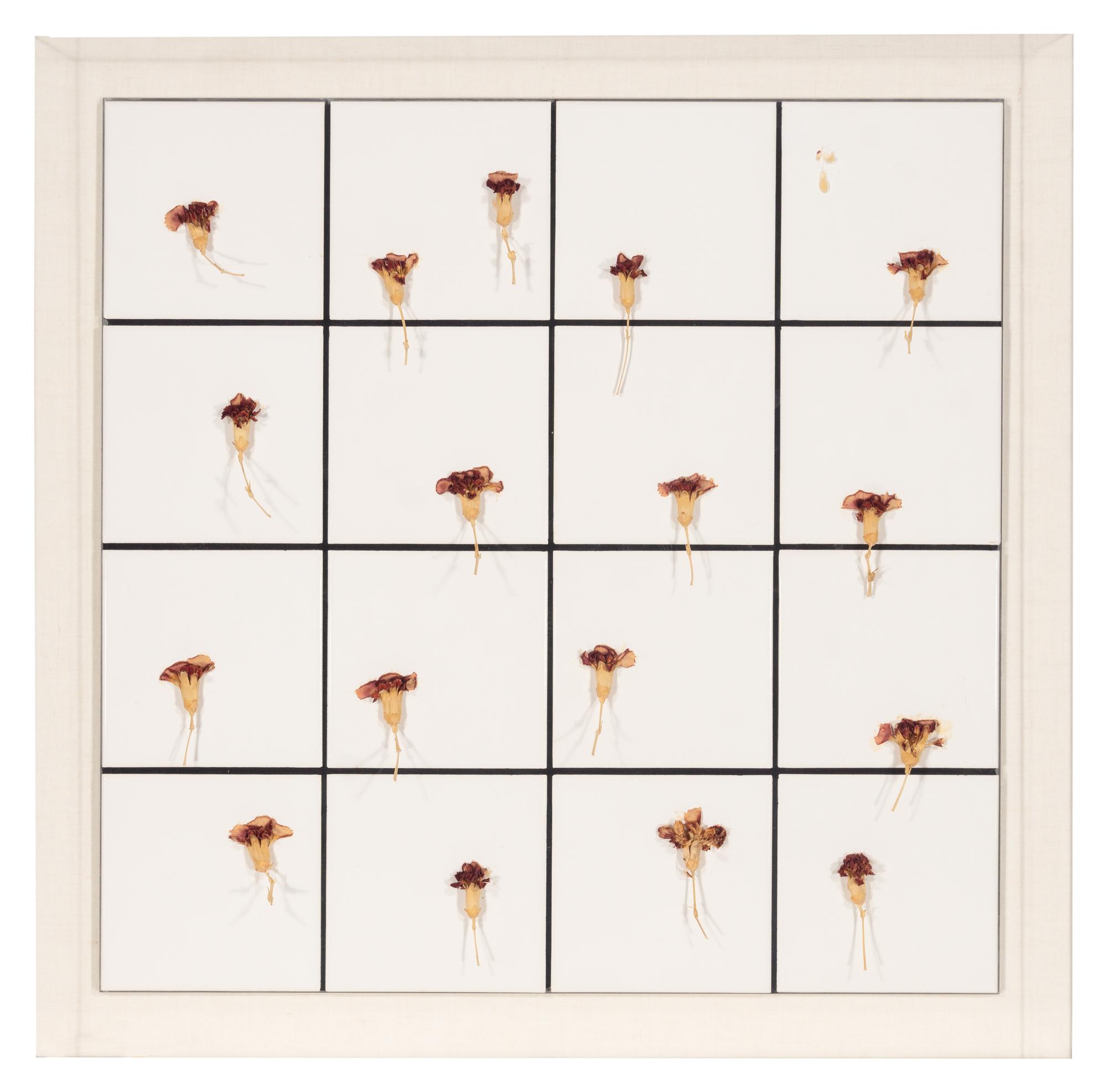 Tiles + Dried Flowers , 1996