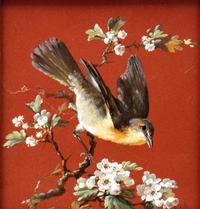 A Continental Porcelain Plaque with a Bird
