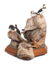 Atlantic Puffins , 1986