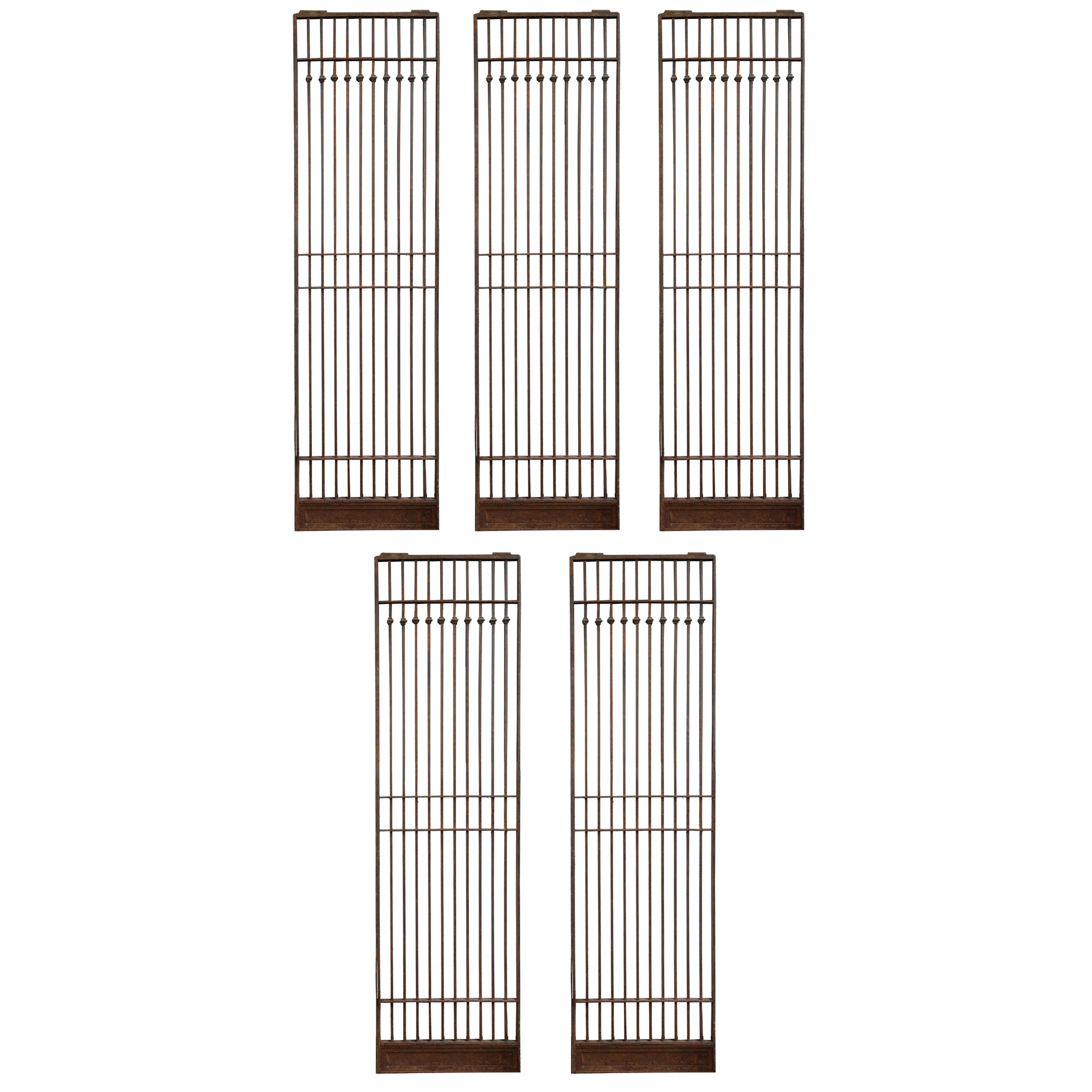 A Set of Eleven American Cast Iron Elevator Doors/Grates 23" W x 1" D x 82" H — United States, Early 20th Century