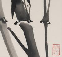 Wang Wenshan