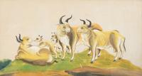 A Collection of Twelve Chinese Zoological Ink and Color Pith Paintings