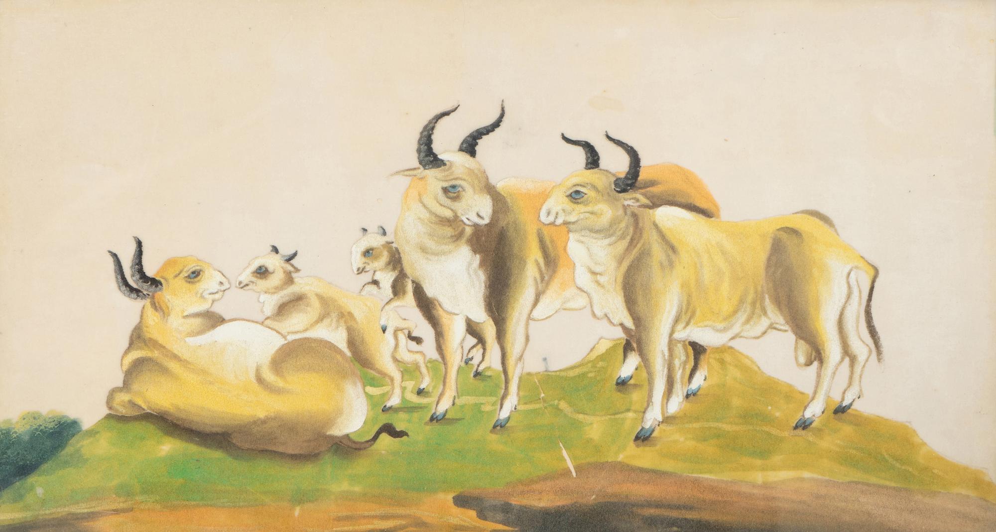 A Collection of Twelve Chinese Zoological Ink and Color Pith Paintings