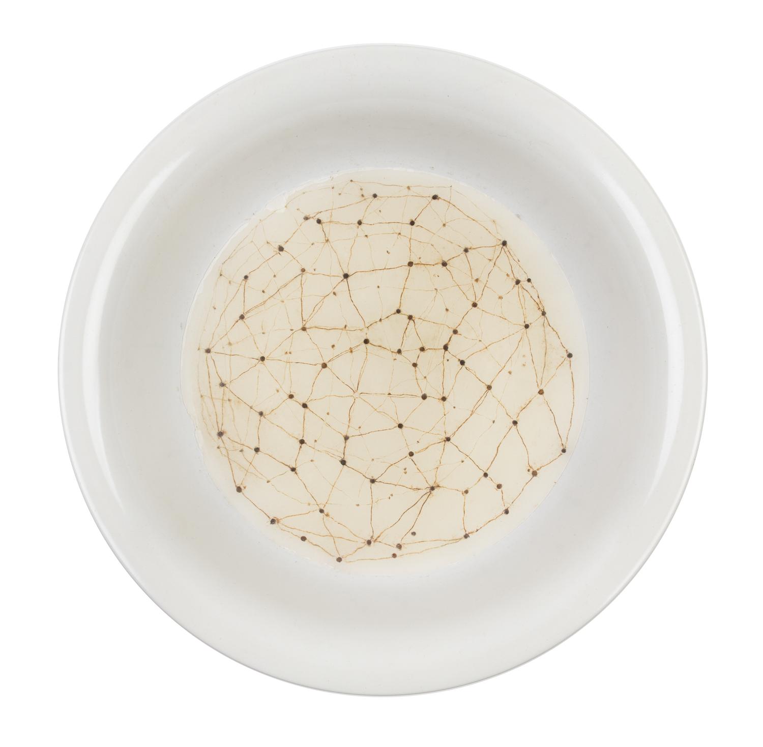 Rivane Neuenschwander, (Brazilian, b. 1967), Untitled (Bowl), 1999