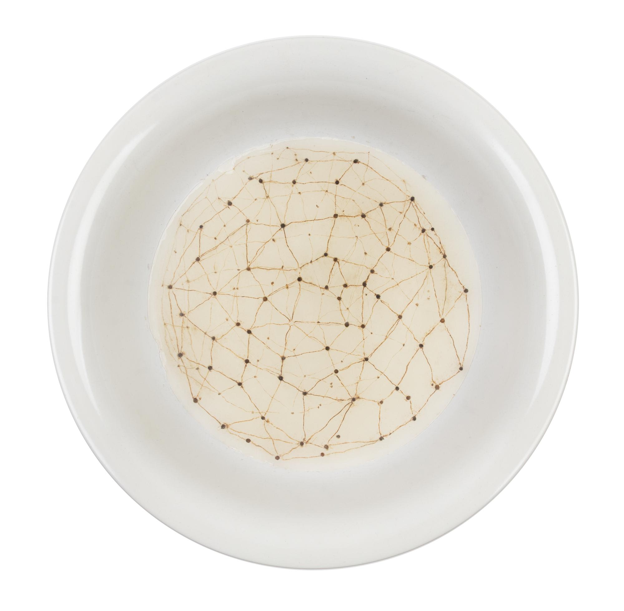 Rivane Neuenschwander, (Brazilian, b. 1967), Untitled (Bowl), 1999