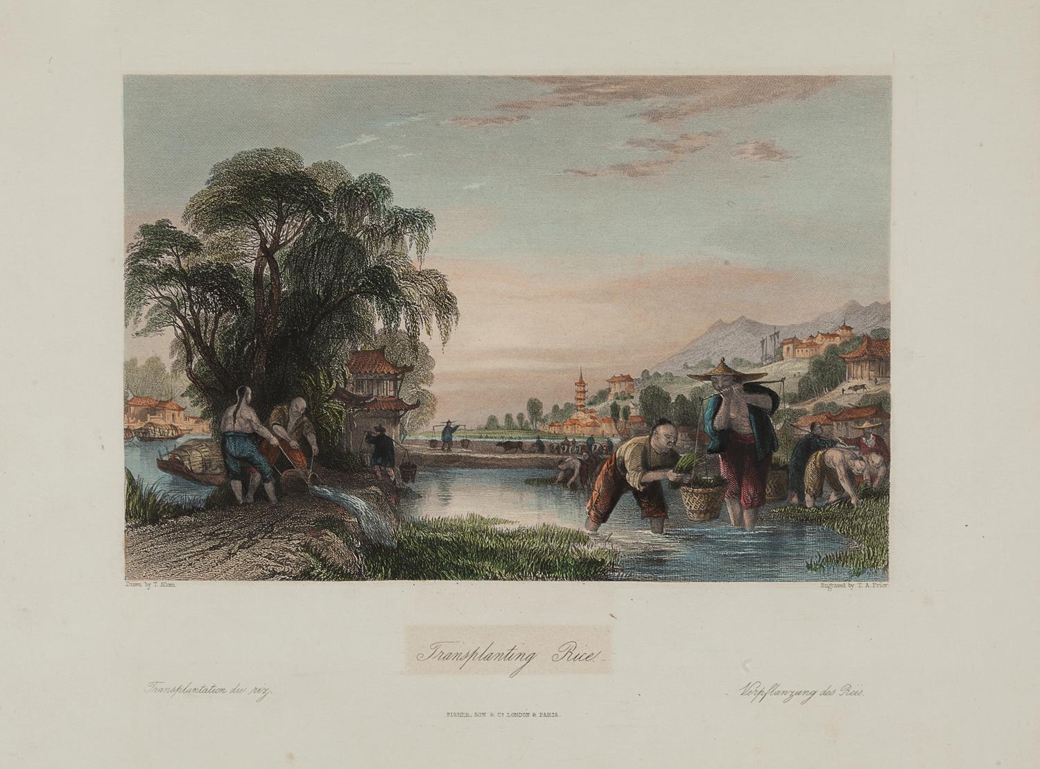 Thomas Allom