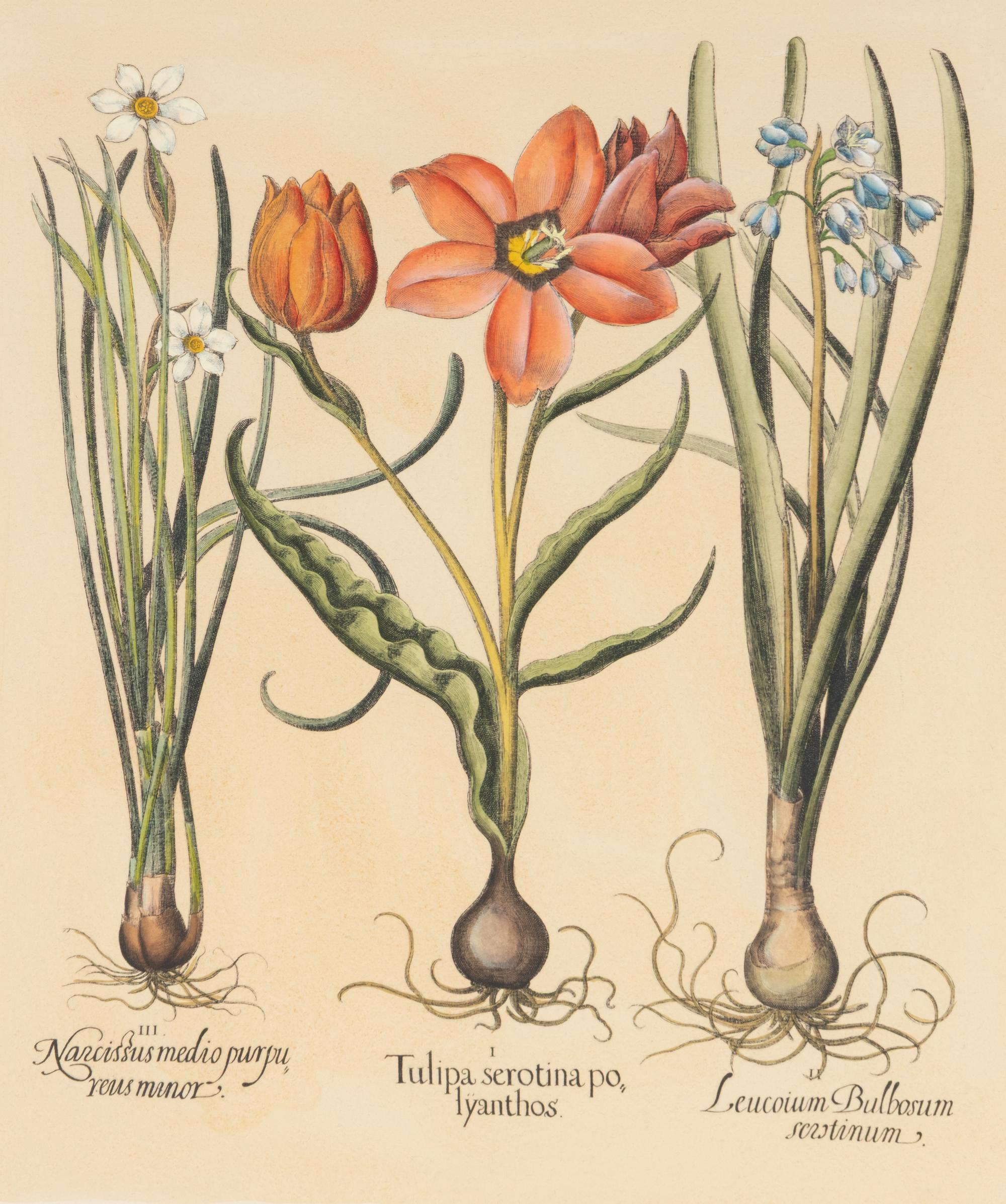 A Group of Three Prints
