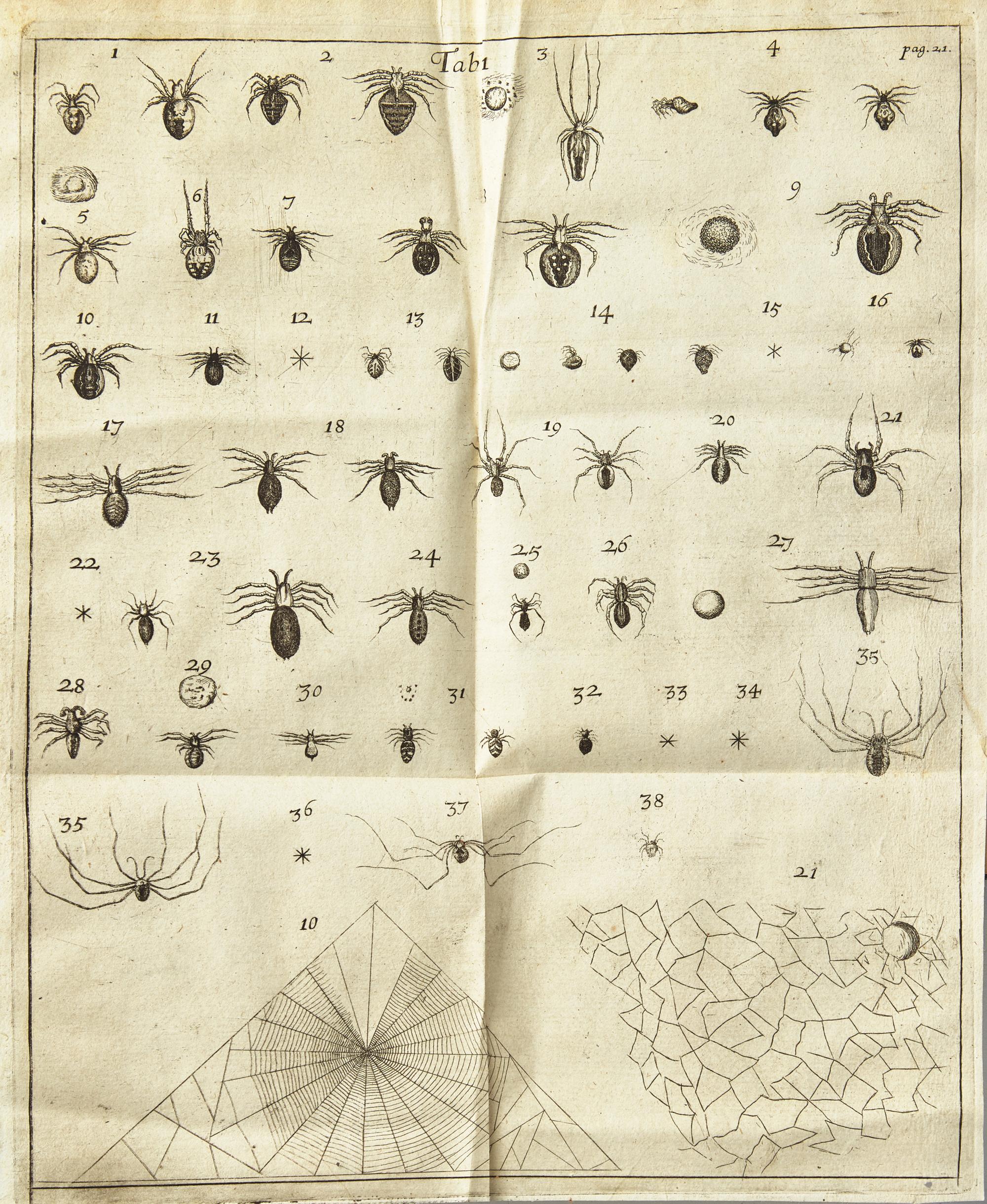[Natural History] Lister, Martin. Historiae Animalium Angliae Tres Tractatus. Unus de Araneis. Alter de Cochleis...