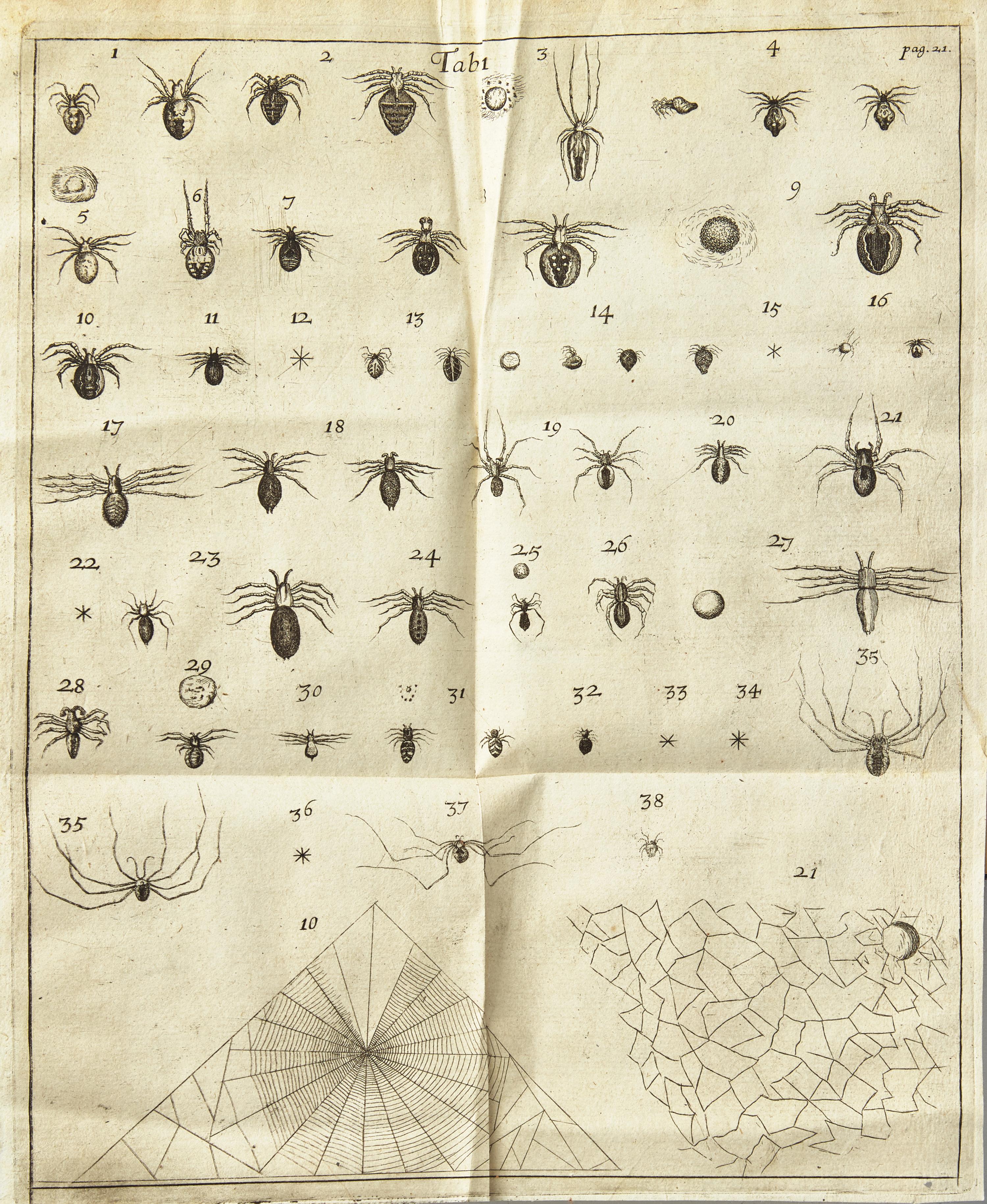 [Natural History] Lister, Martin. Historiae Animalium Angliae Tres Tractatus. Unus de Araneis. Alter de Cochleis...