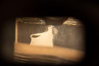 A 1 Cent International Mutoscope Clam Shell Arcade Viewer