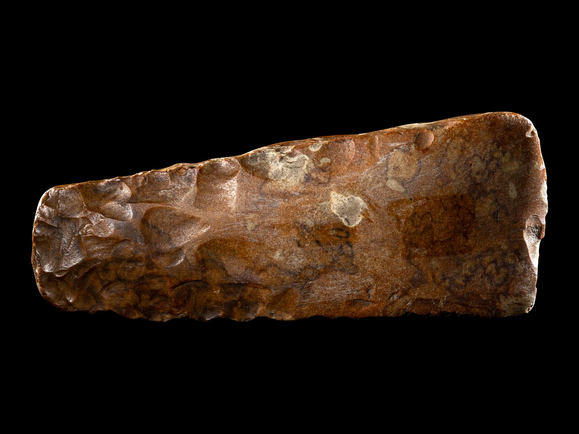 A Neolithic Flint Thin-Butted Axe