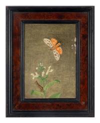 Magnolia Leaves and Shell and Tiger Moth and Nettle (two works), 1971