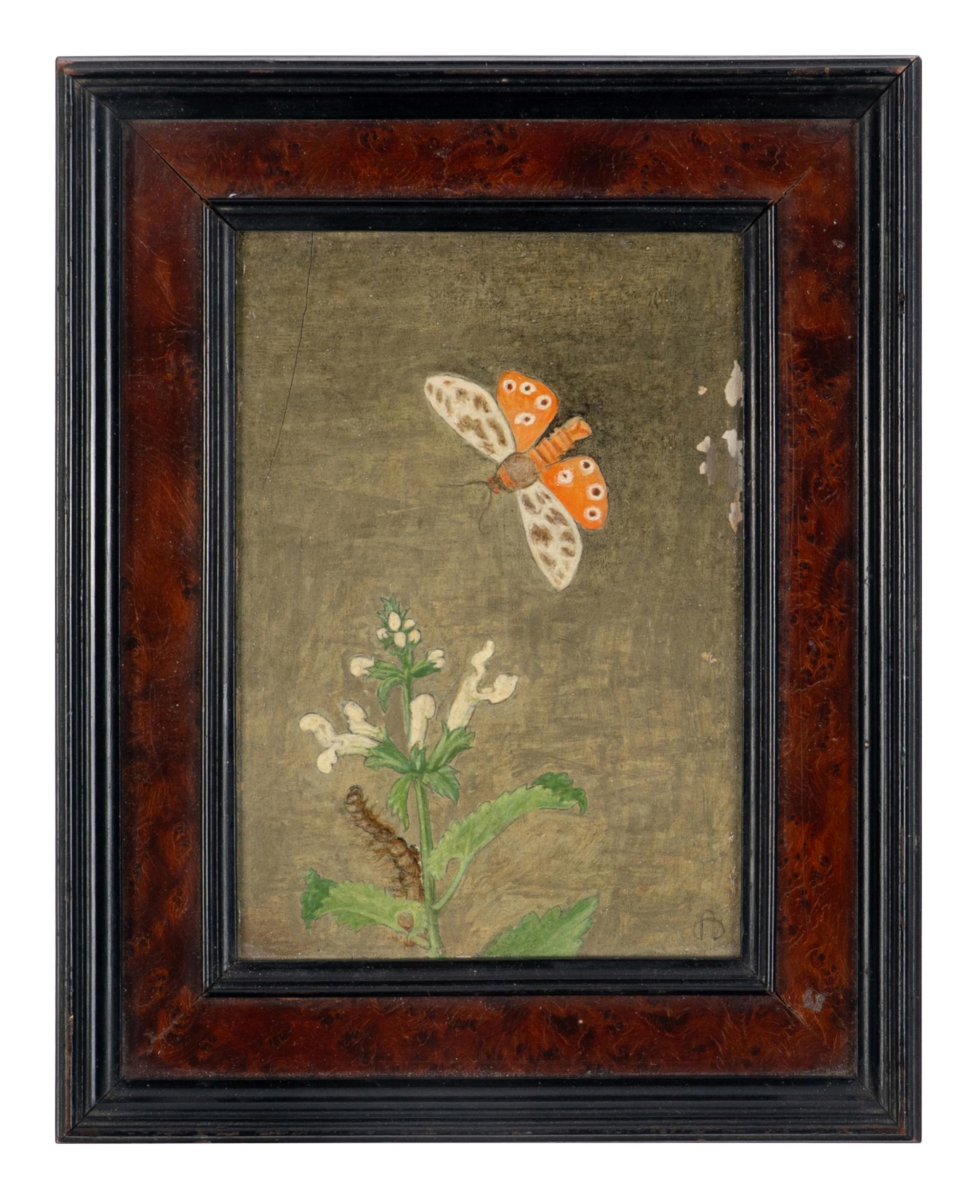 Magnolia Leaves and Shell and Tiger Moth and Nettle (two works), 1971
