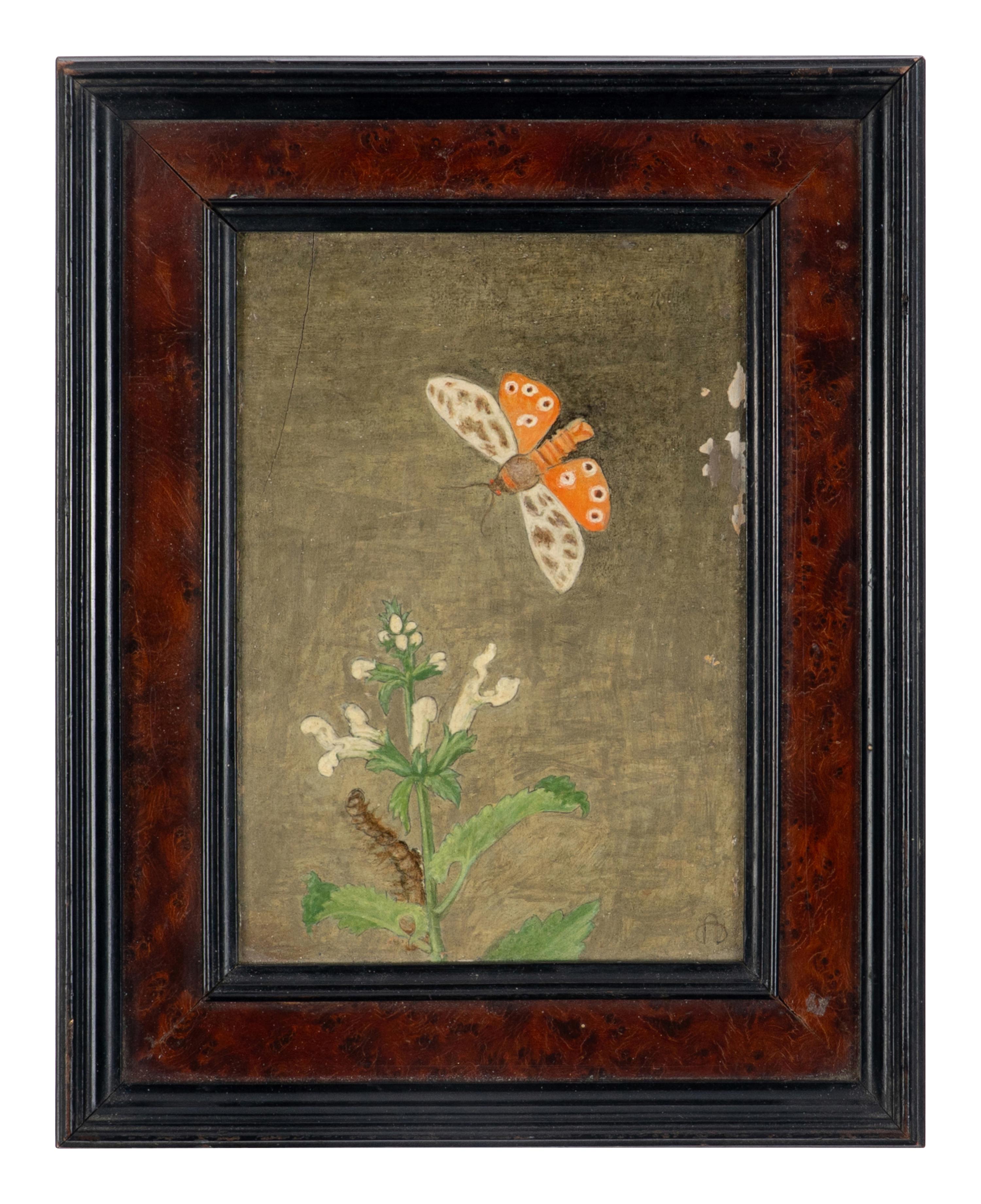 Magnolia Leaves and Shell and Tiger Moth and Nettle (two works), 1971