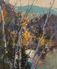 Birch Trees
