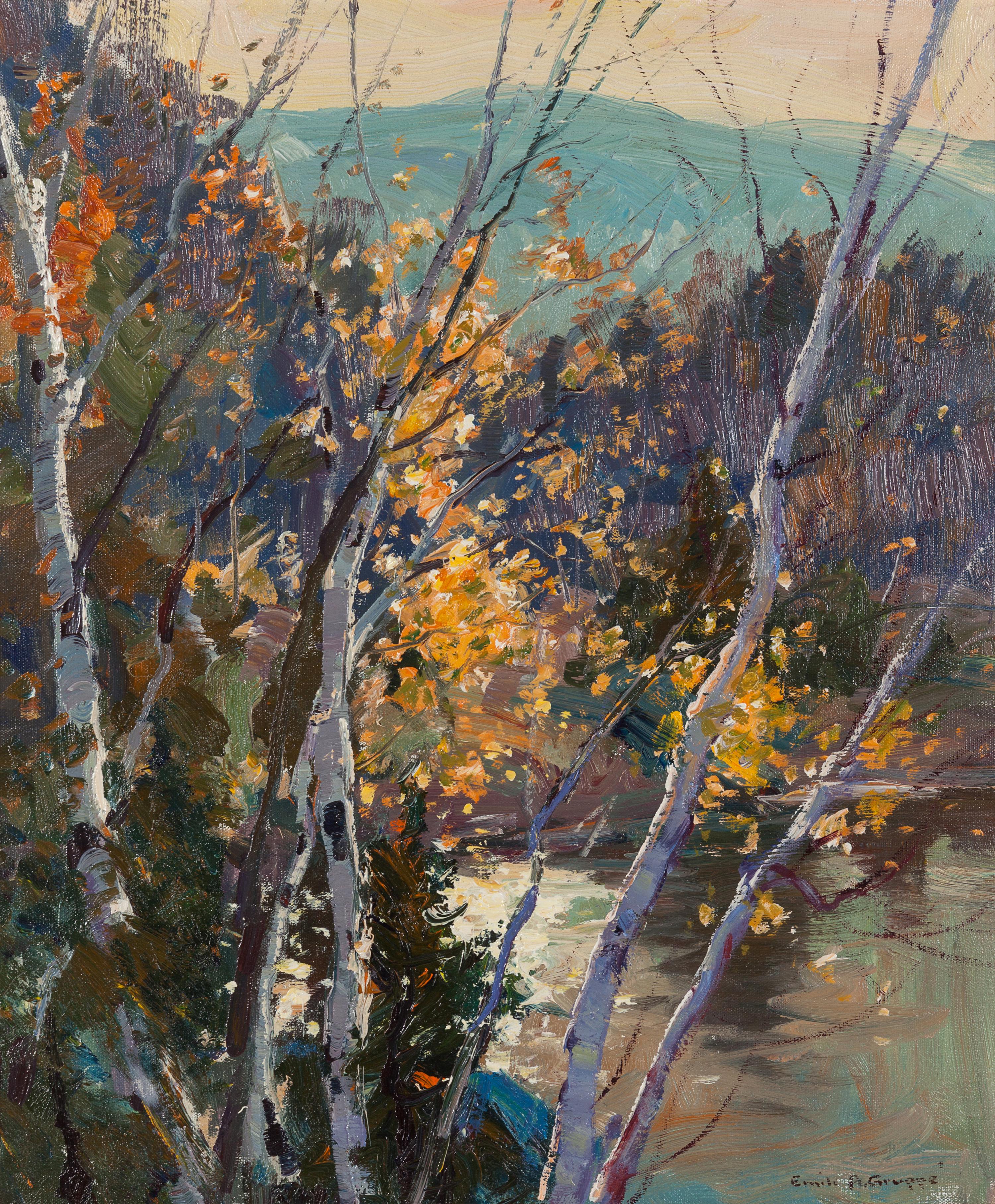 Birch Trees