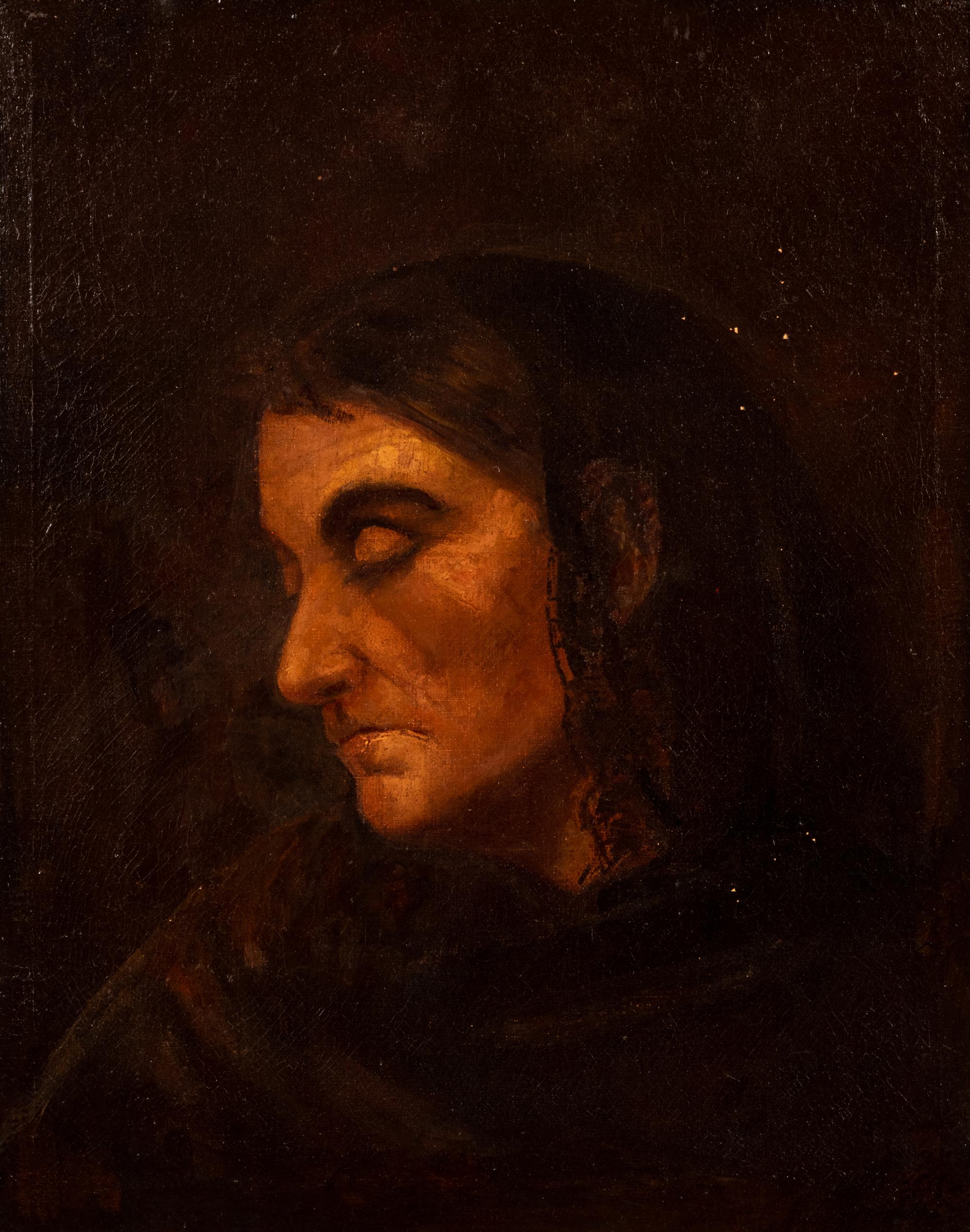 Portrait of a Woman in Black and Brown