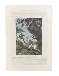 Eleven Hand Colored Dog Prints Height 71/2 x 9 inches — 19TH/20TH CENTURY