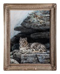 Snow Leopard