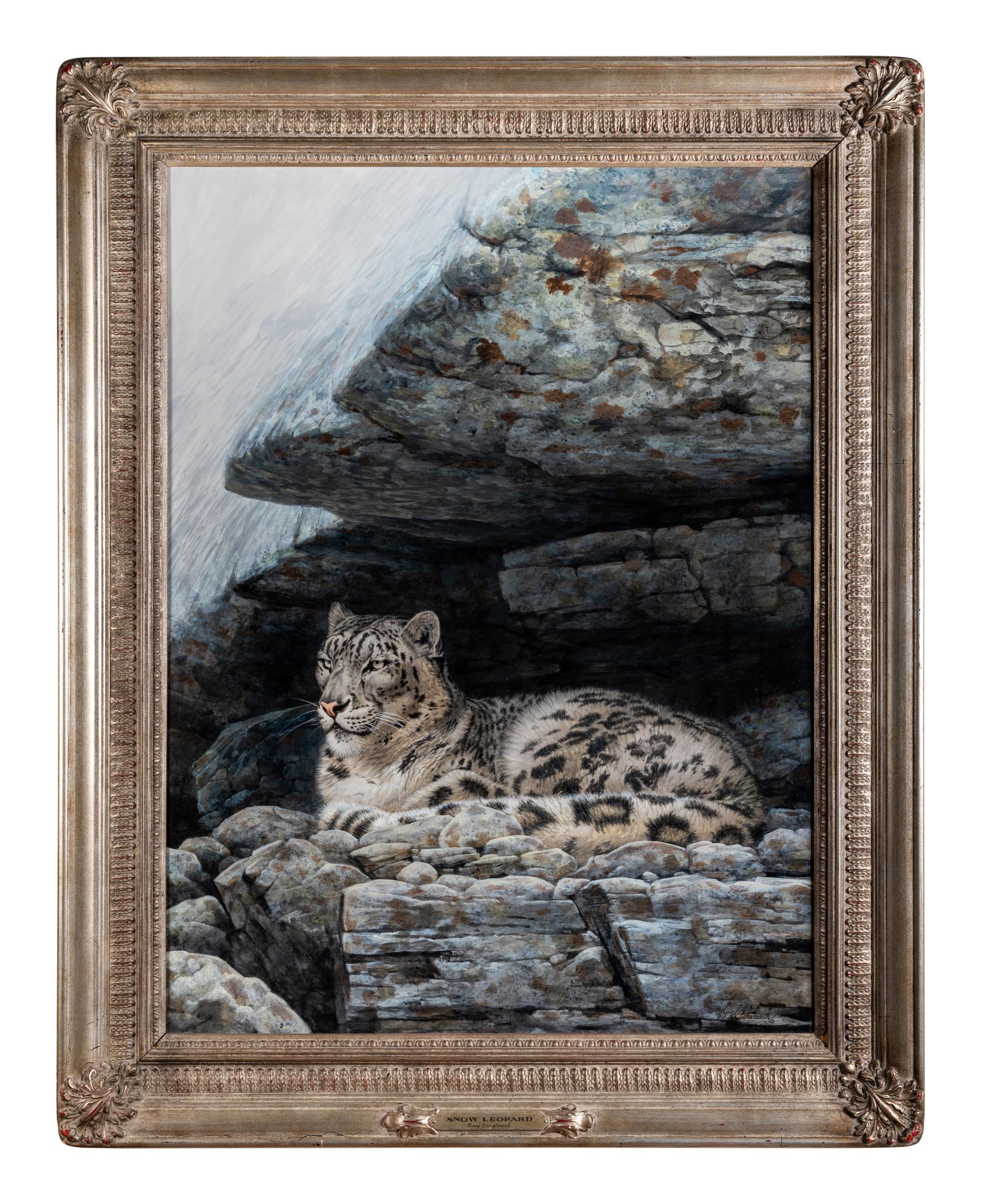 Snow Leopard