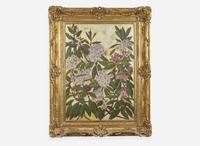 Rhododendron