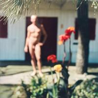 Mona Kuhn (Brazilian/German, b. 1969) Amsterdam VI