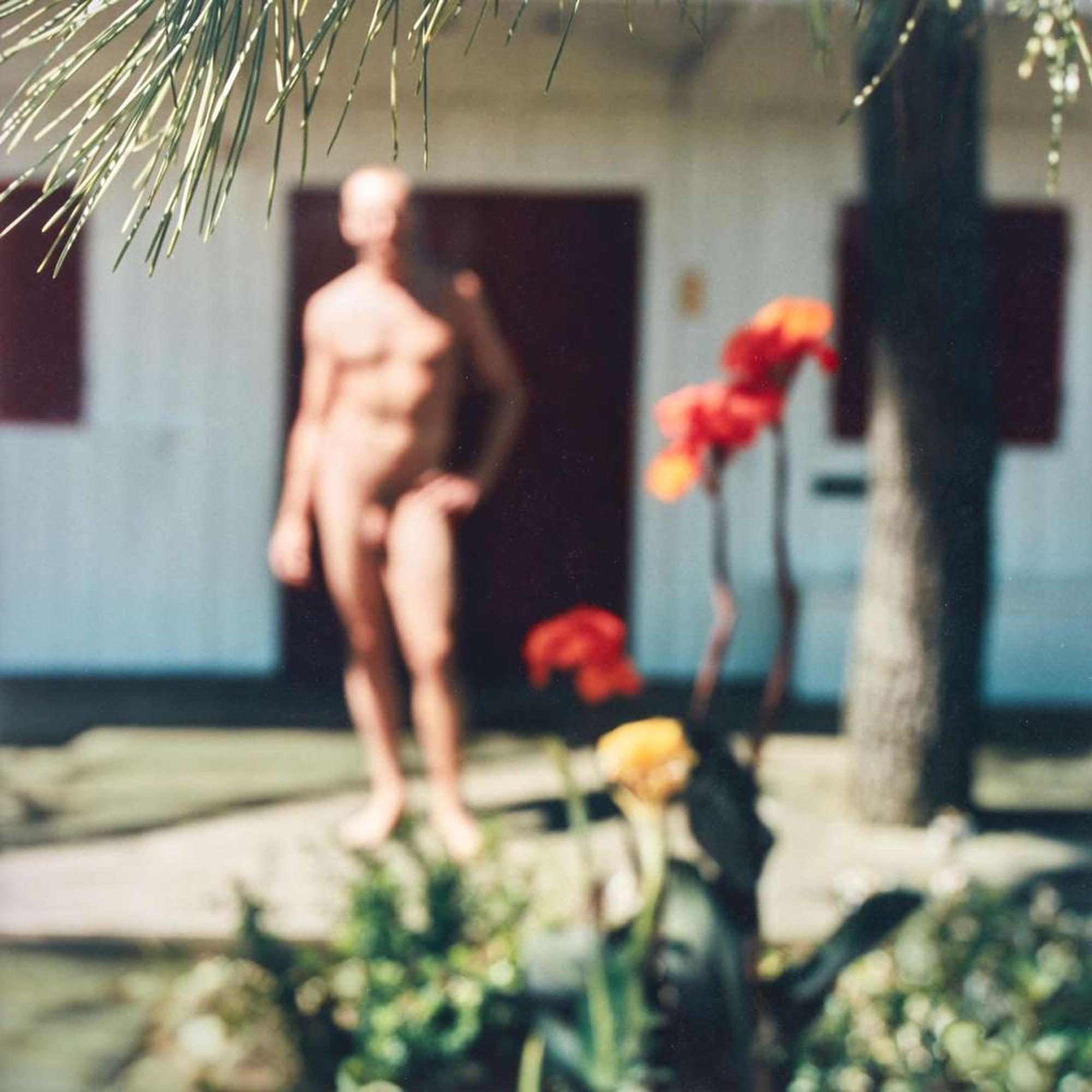 Mona Kuhn (Brazilian/German, b. 1969) Amsterdam VI