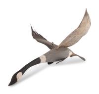 A Folk Art Carved and Polychrome Painted Canada Goose