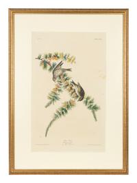 AUDUBON, John James (1785-1851) -- A pair of engravings with aquatint and hand-coloring by Robert Havell, ca 1833, comprising: