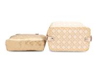 Christian Dior and Gucci Bag