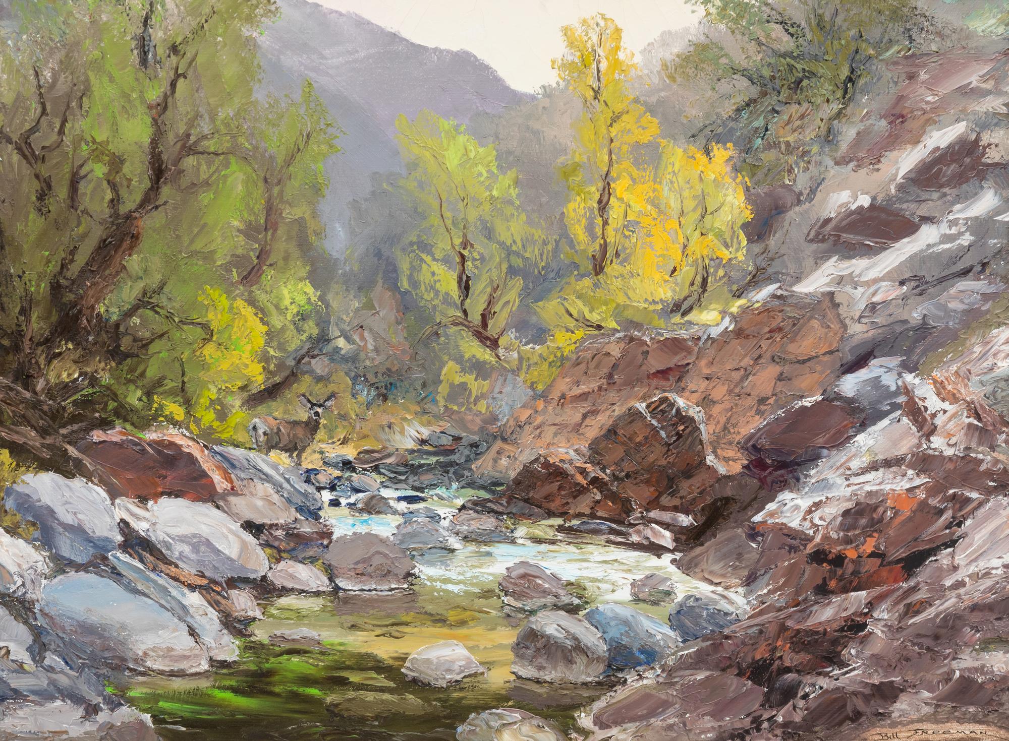 Rock Mountain Creek
