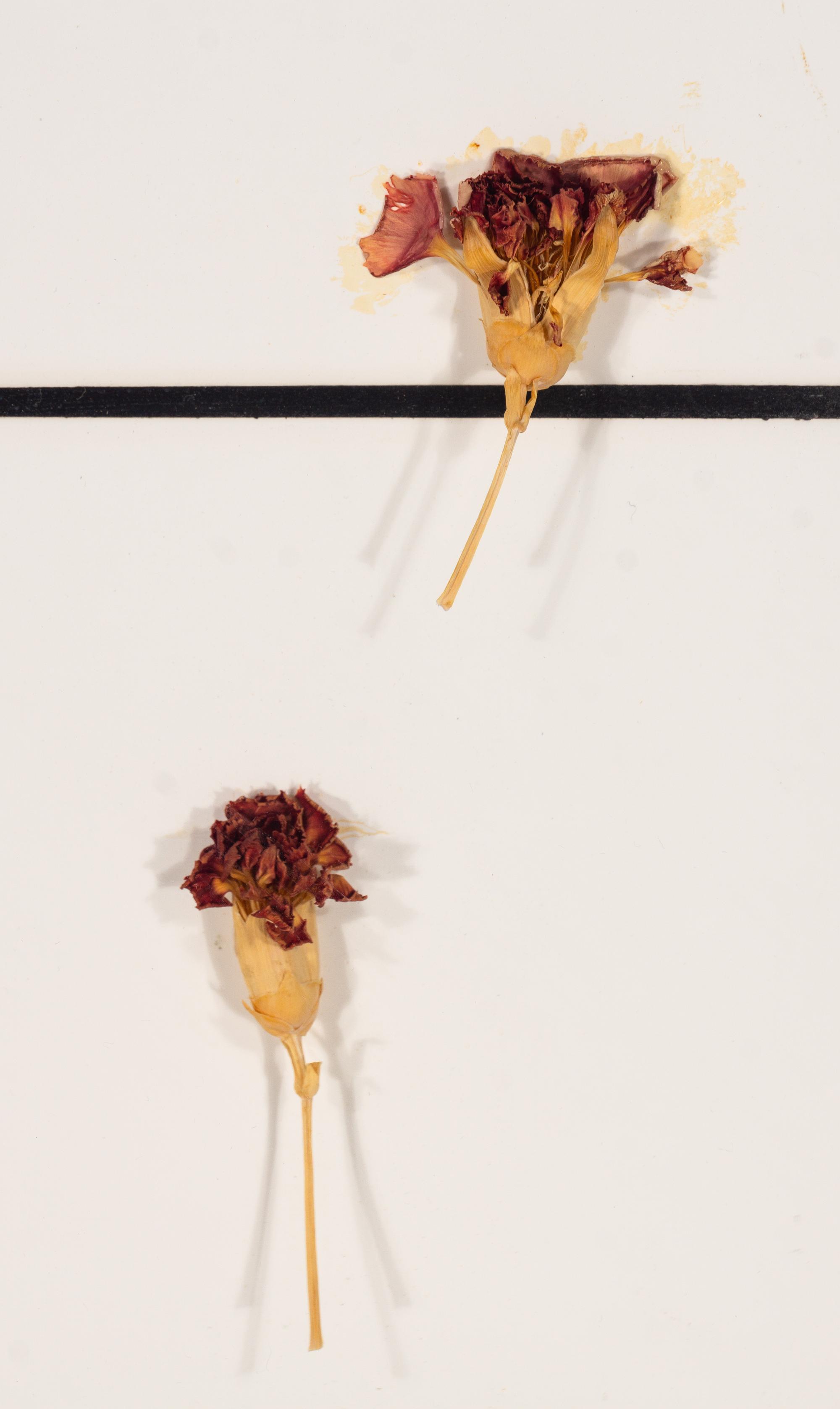 Tiles + Dried Flowers , 1996