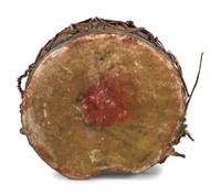 Pueblo Painted Drum, with Beater