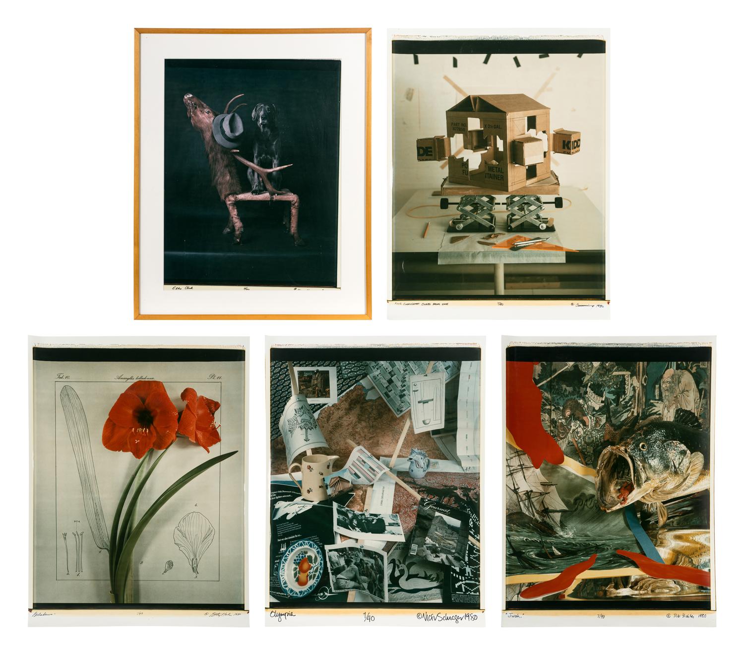 Five Still Lifes (portfolio of five prints with clamshell box)