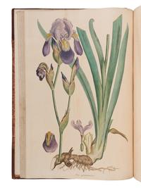[NATURAL HISTORY]. SIBTHORP, John (1758-1796) and Sir James Edward SMITH (1759-1828). Flora Graeca sive plantarum rariorum historia . London: Richard Taylor, 1806-1813.