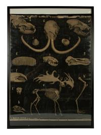 Planches Murales d' History (a pair of posters)