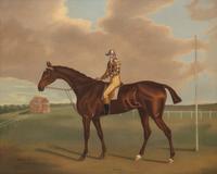 Altsidora, Winner of the St. Leger 1813