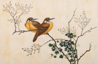 A Set of Twelve Chinese Export Watercolor and Pith Paintings