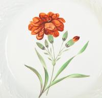 A Collection of English Davenport Soft Paste Porcelain Botanical Plates and Sauce Tureens — 18TH CENTURY