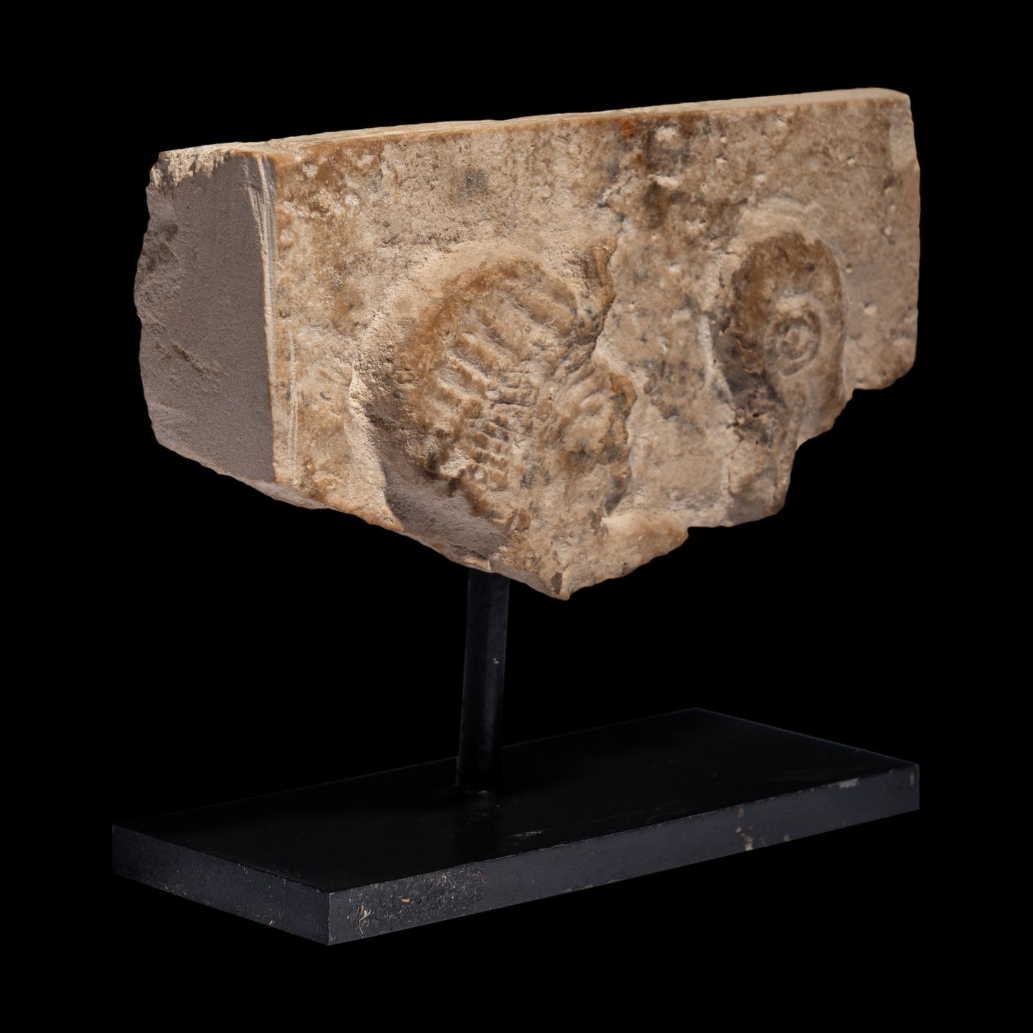 An Egyptian Limestone Relief Fragment with the Head of a Pharaoh