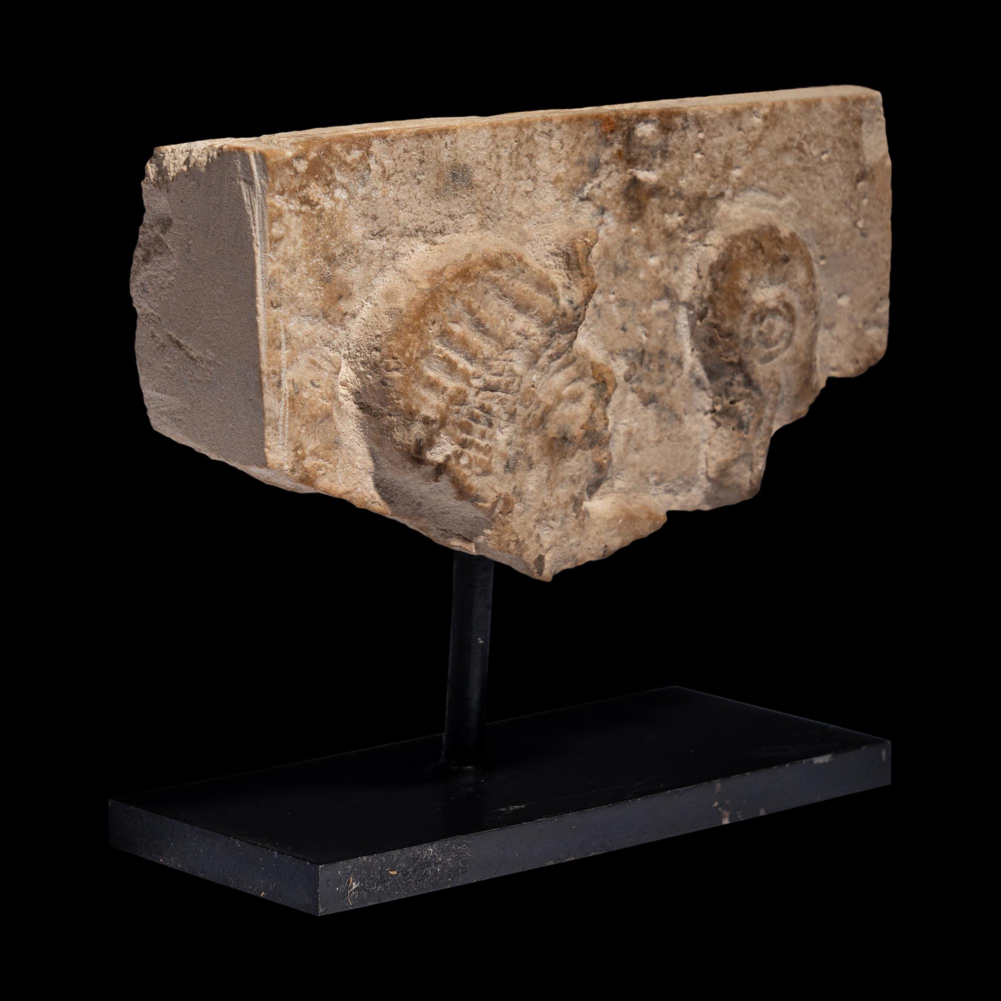 An Egyptian Limestone Relief Fragment with the Head of a Pharaoh