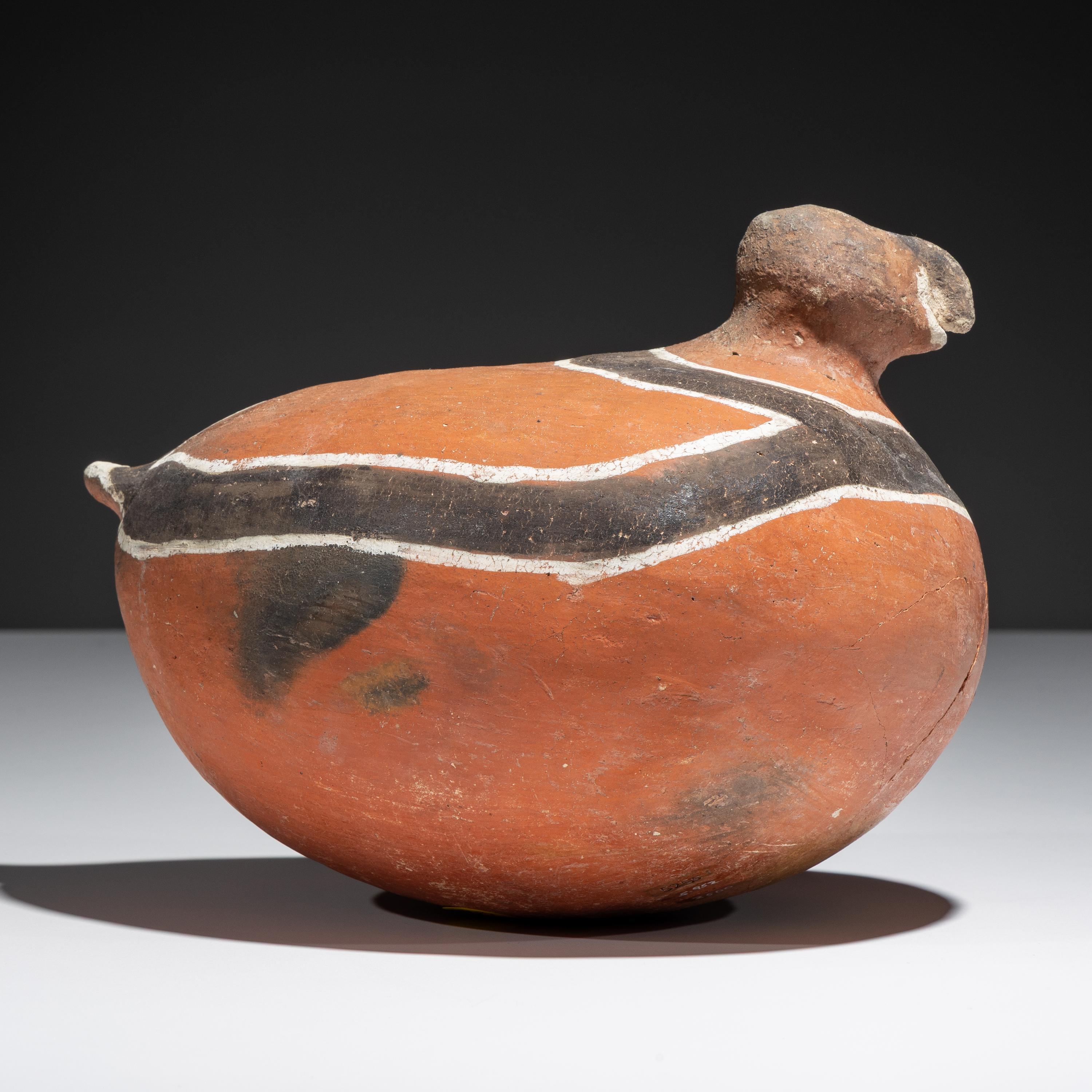 Ancestral Pueblo, Four Mile Pottery Parrot