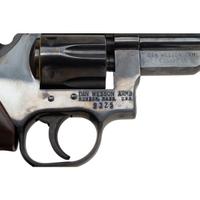 *Dan Wesson Arms Model V22
