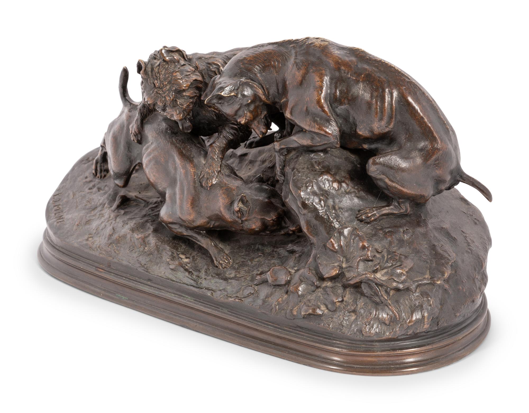 Chasse Au Lapin