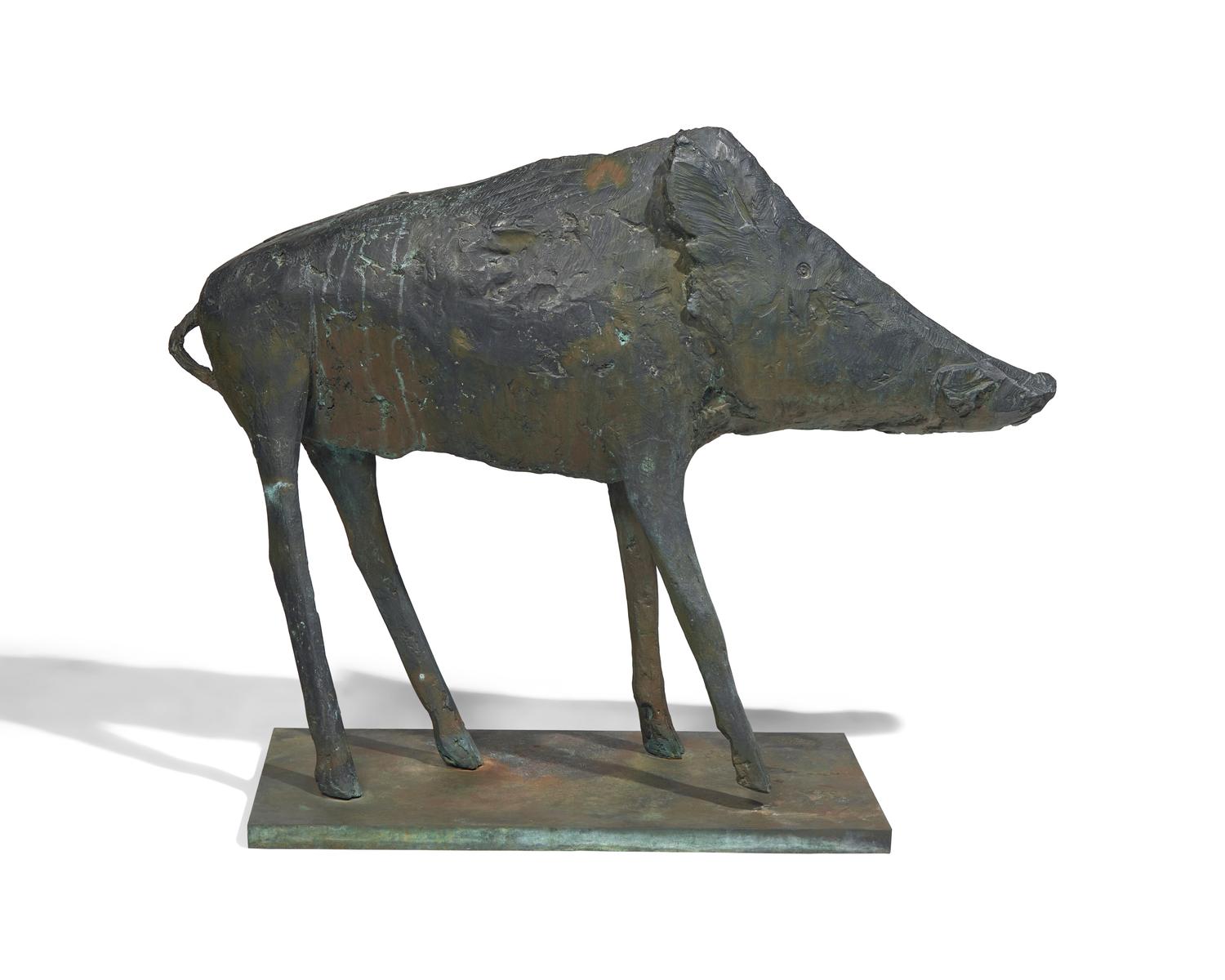 Wild Boar, 1957