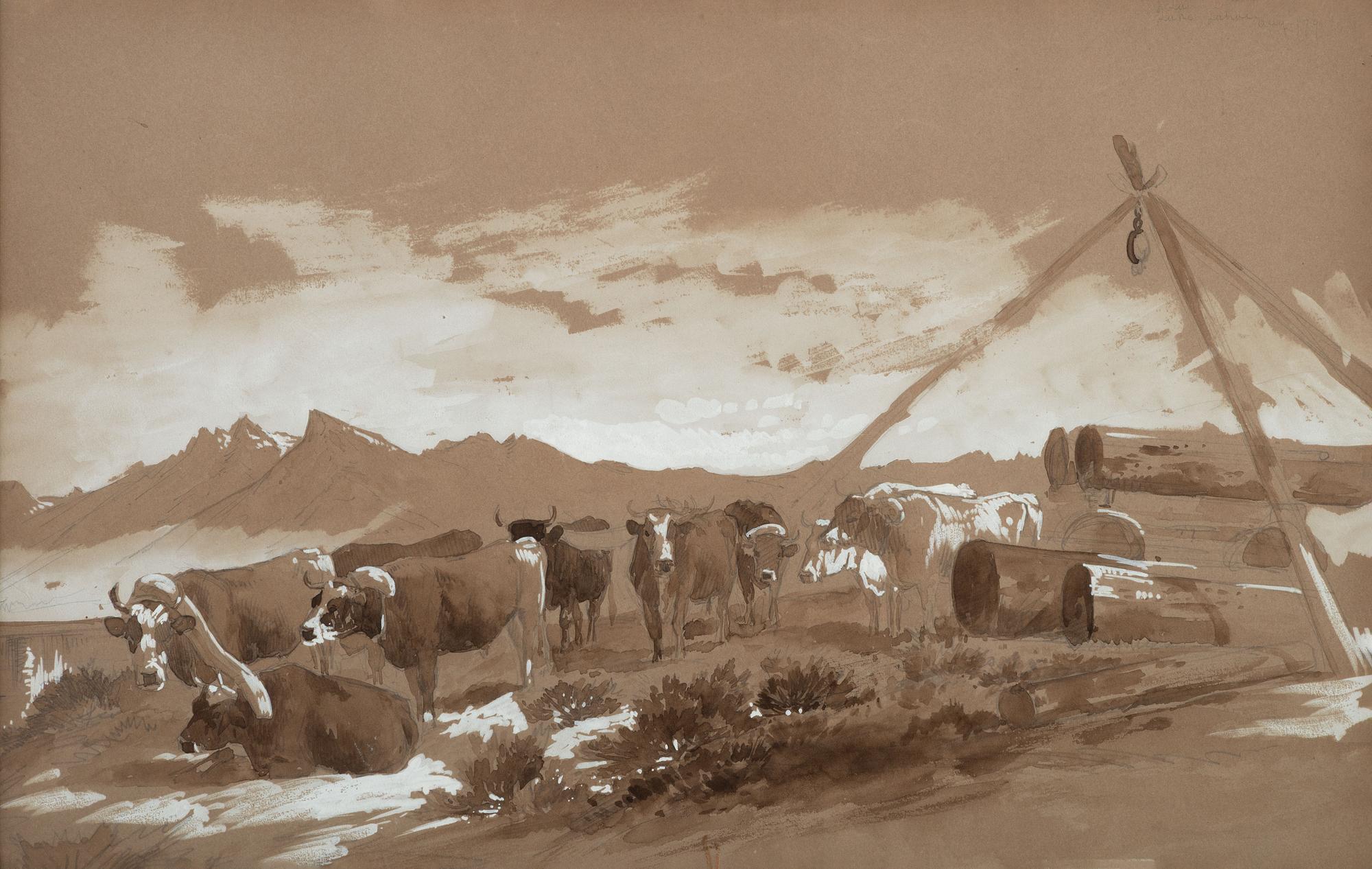 Lake Tahoe , 1879