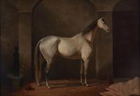 Theodore Marsden (active 1860-1890), White Stallion in Stable