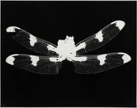 Art Sinsabaugh (American, 1924-1983) — Three Works